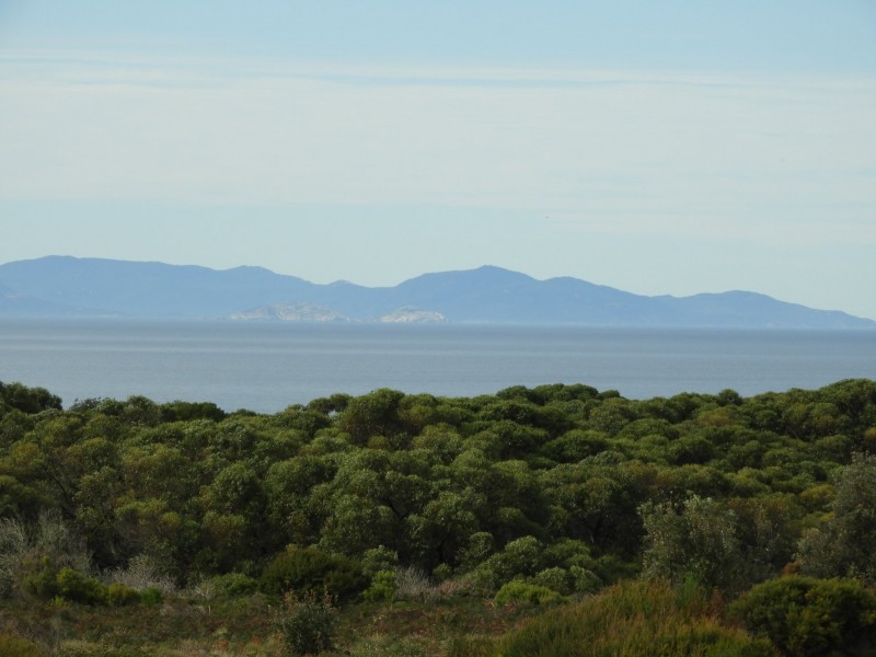 435 Bear Gully Road, Tarwin Lower VIC 3956