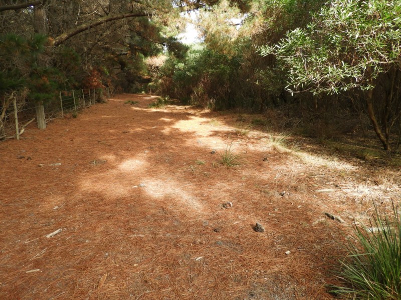 435 Bear Gully Road, Tarwin Lower VIC 3956