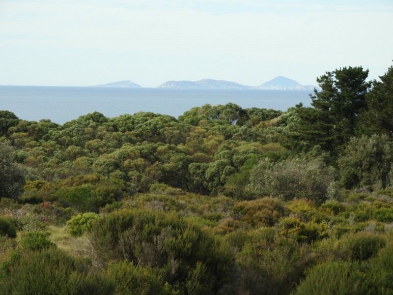 435 Bear Gully Road, Tarwin Lower VIC 3956