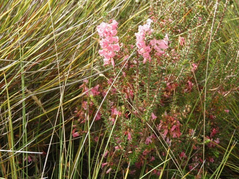 435 Bear Gully Road, Tarwin Lower VIC 3956