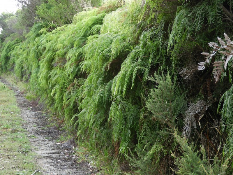 435 Bear Gully Road, Tarwin Lower VIC 3956