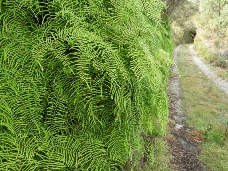 435 Bear Gully Road, Tarwin Lower VIC 3956