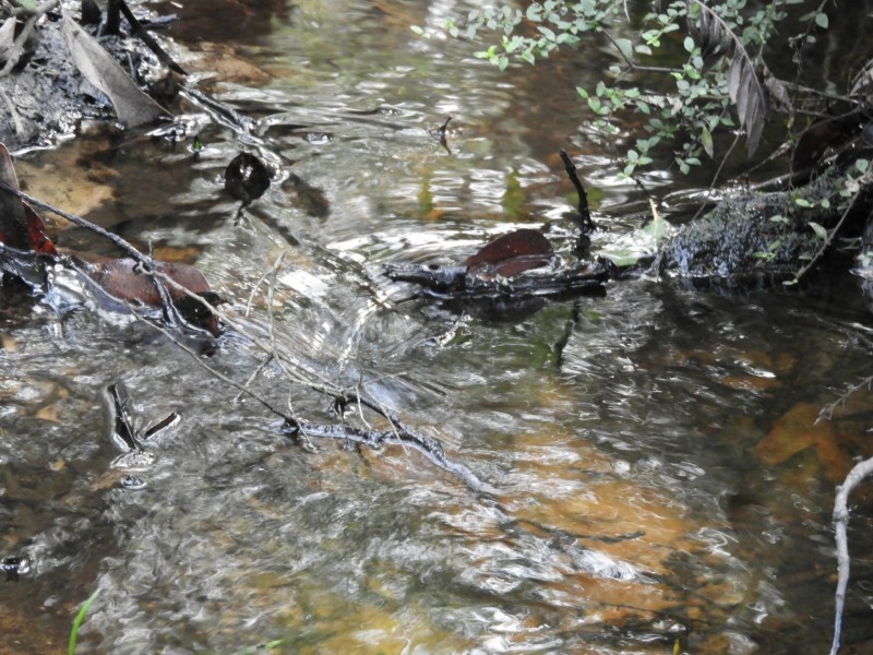 435 Bear Gully Road, Tarwin Lower VIC 3956