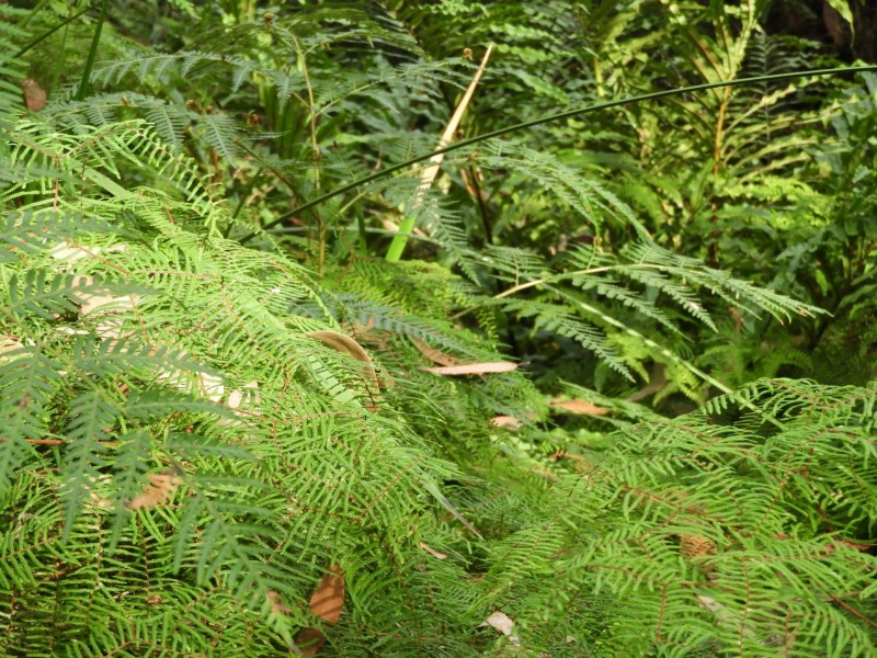 435 Bear Gully Road, Tarwin Lower VIC 3956