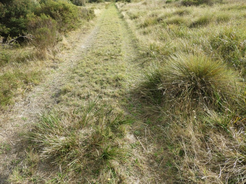 435 Bear Gully Road, Tarwin Lower VIC 3956