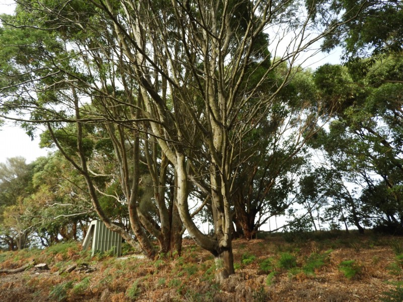 435 Bear Gully Road, Tarwin Lower VIC 3956