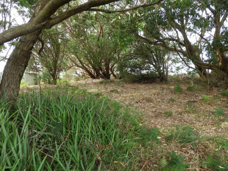 435 Bear Gully Road, Tarwin Lower VIC 3956