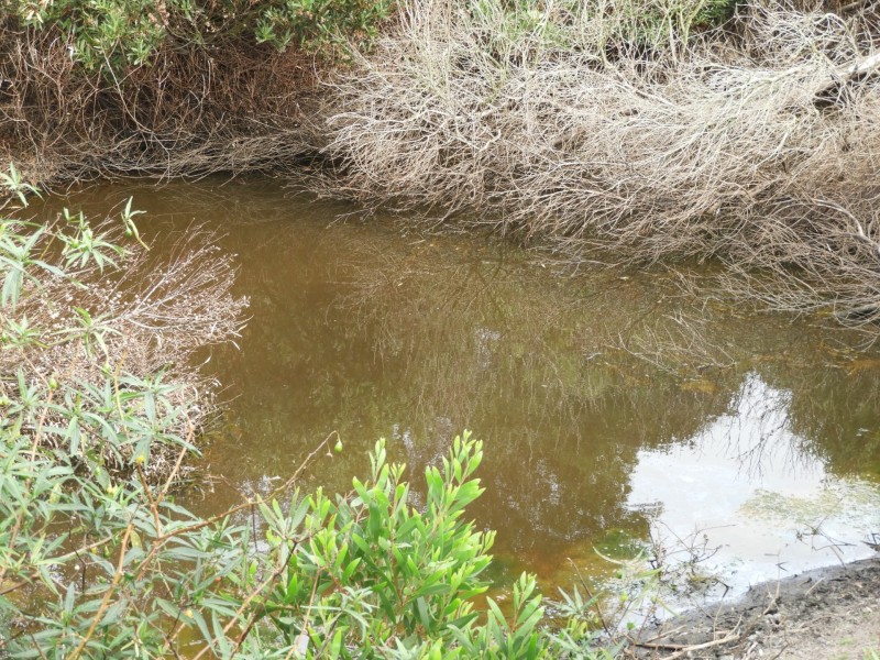 435 Bear Gully Road, Tarwin Lower VIC 3956