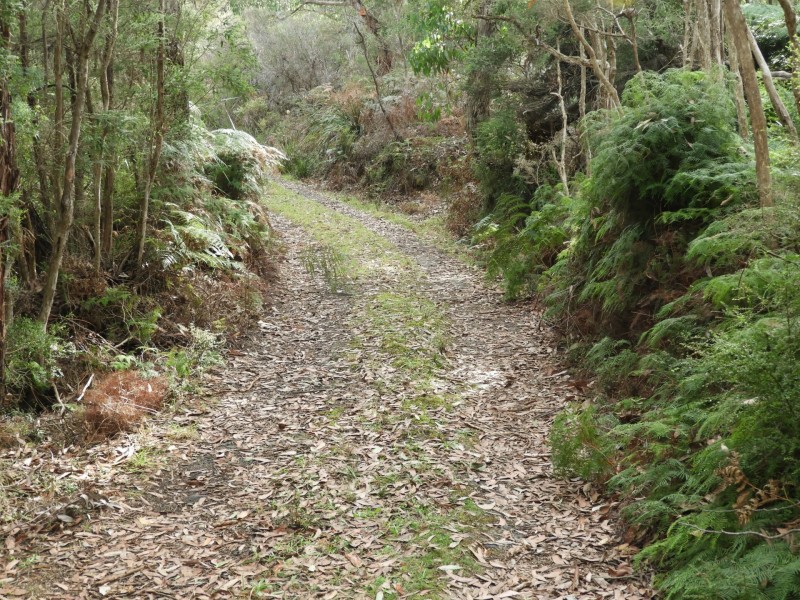 435 Bear Gully Road, Tarwin Lower VIC 3956