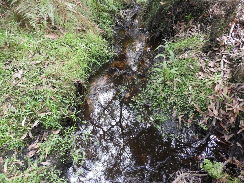 435 Bear Gully Road, Tarwin Lower VIC 3956