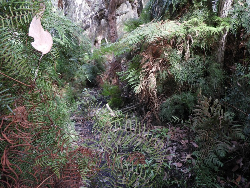 435 Bear Gully Road, Tarwin Lower VIC 3956