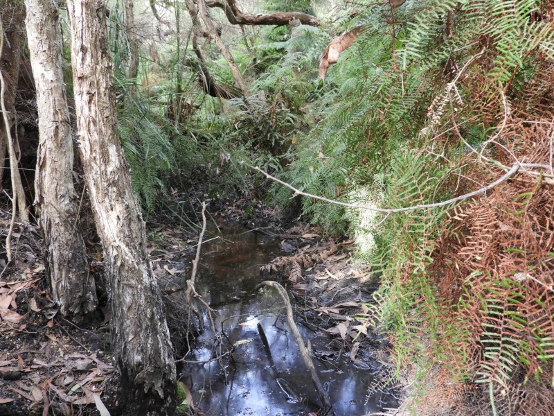 435 Bear Gully Road, Tarwin Lower VIC 3956