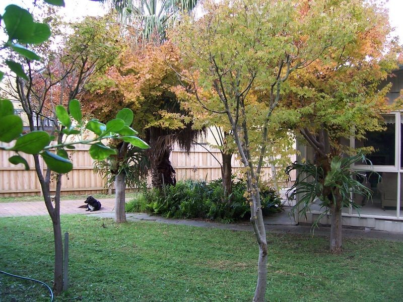 12 High Street, Inverloch VIC 3996