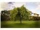 40 Pearsalls Road, Inverloch VIC 3996