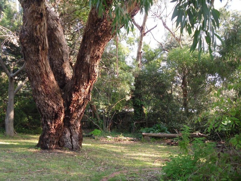 19 View Street, Inverloch VIC 3996