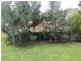 Inverloch VIC 3996