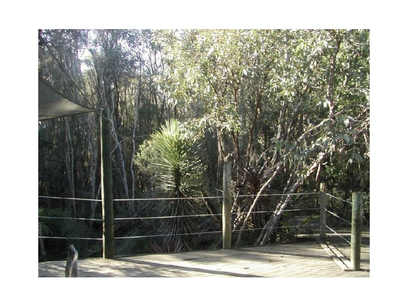 45 Ryeburn Road, Outtrim VIC 3951