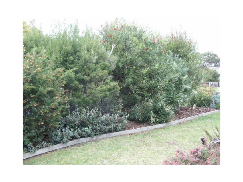 41 Freda Street, Inverloch VIC 3996