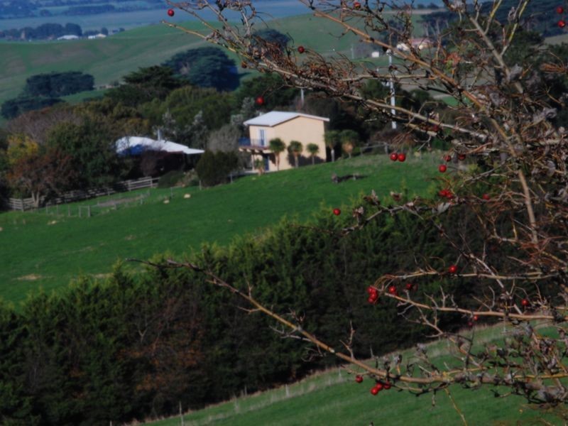 145 Payne Road, Glen Alvie VIC 3979