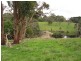 310 Glen Alvie Road, Wonthaggi VIC 3995