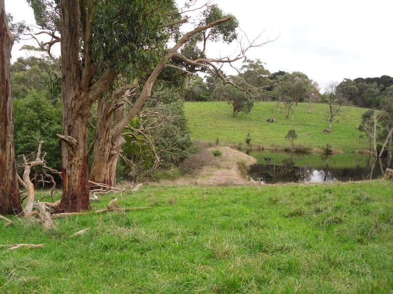 310 Glen Alvie Road, Wonthaggi VIC 3995