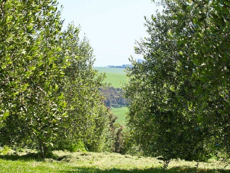 Jumbunna VIC 3951