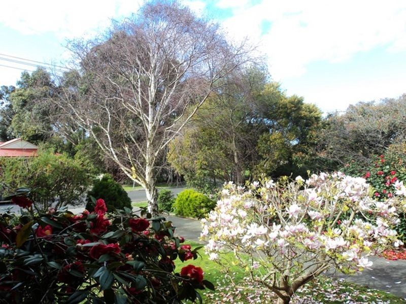 27 Ivor Street, Wonthaggi VIC 3995