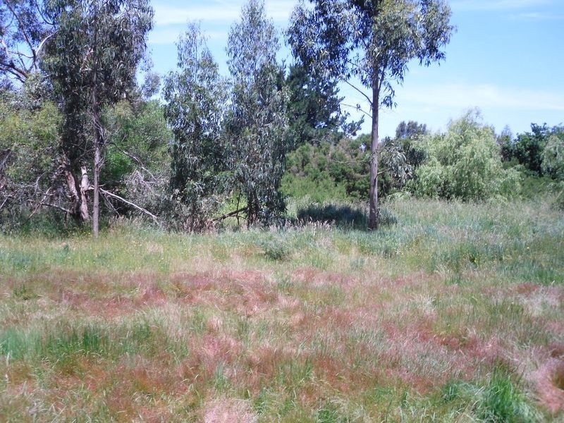 Lot 2 Correa Place, Inverloch VIC 3996