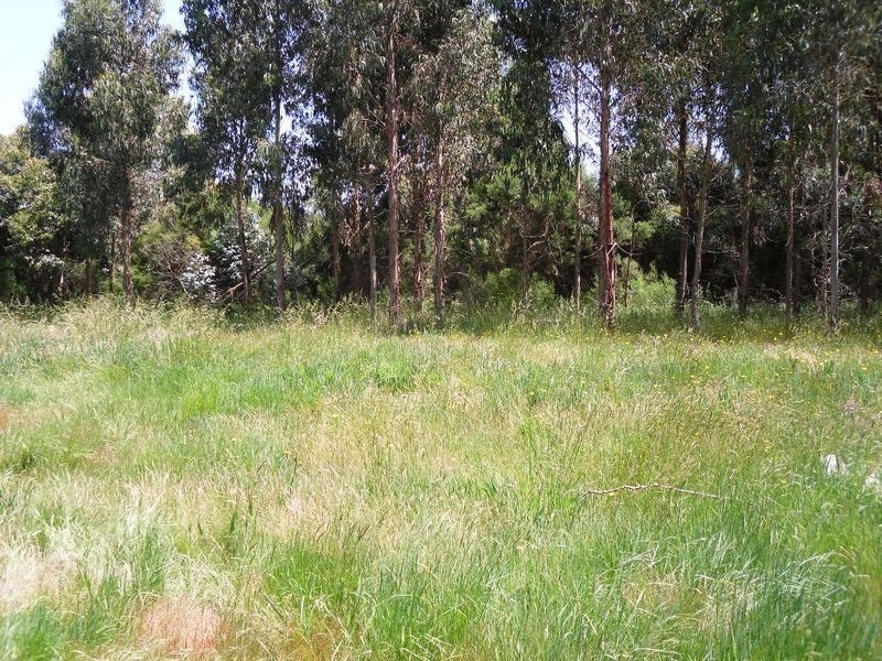 Lot 2 Correa Place, Inverloch VIC 3996