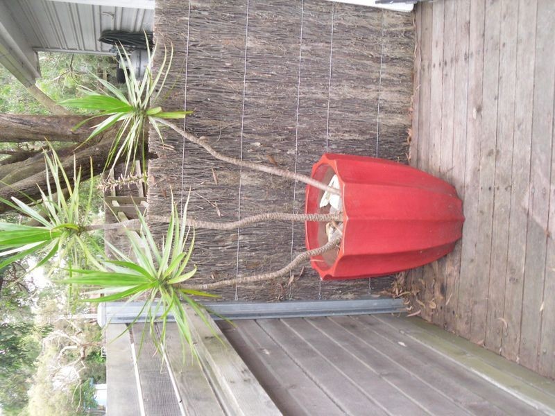 13 Park Street, Inverloch VIC 3996