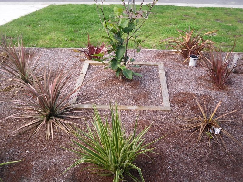 9 Oceanic Drive, Inverloch VIC 3996