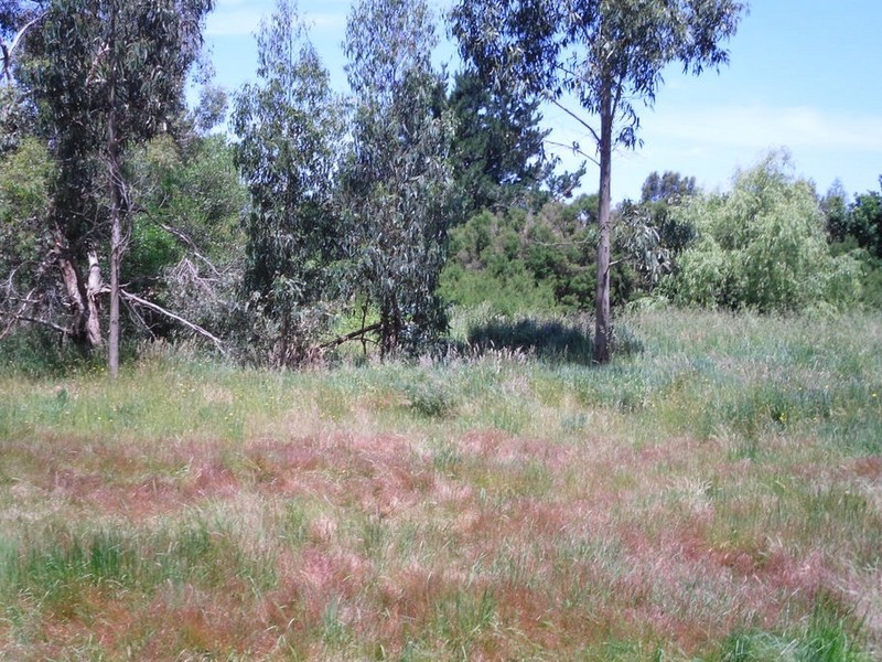 Lot 8 Correa Place, Inverloch VIC 3996