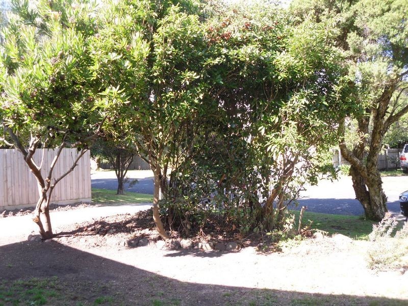 31 Kenneth Street, Inverloch VIC 3996