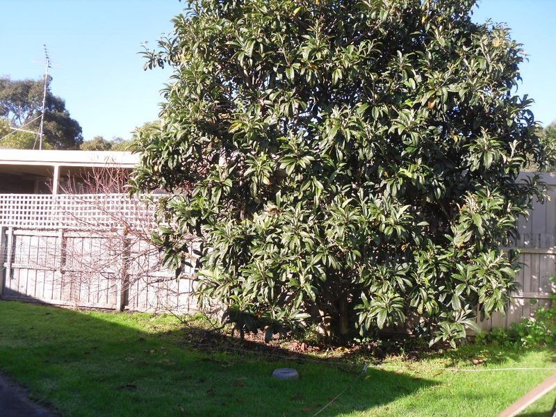 15 John Street, Inverloch VIC 3996