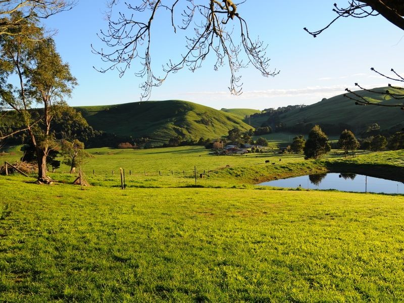 235 Anderson’s Inlet Road, Moyarra VIC 3951
