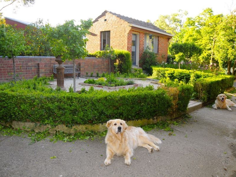 235 Anderson’s Inlet Road, Moyarra VIC 3951