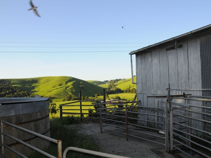 235 Anderson’s Inlet Road, Moyarra VIC 3951