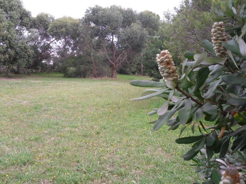 Blue Wren Way, Inverloch VIC 3996