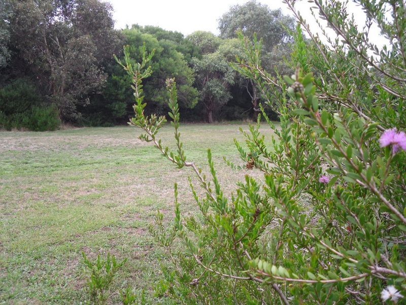 Blue Wren Way, Inverloch VIC 3996