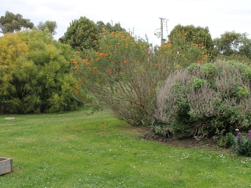 3 Nesci Court, Inverloch VIC 3996