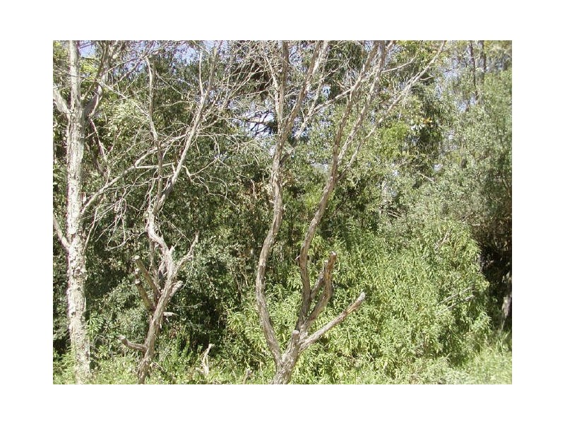 144 Surf Parade, Inverloch VIC 3996