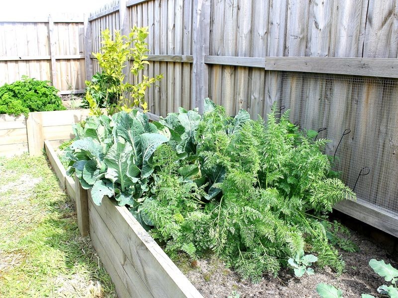 21 Surrey Place, Inverloch VIC 3996