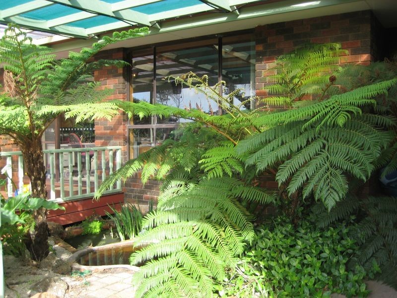 Wonthaggi VIC 3995