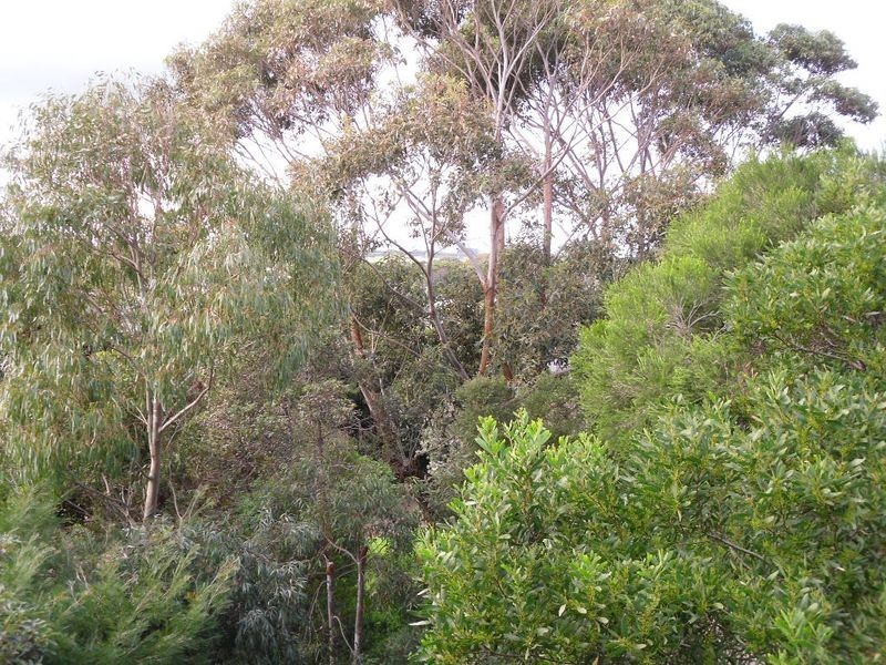 Cape Paterson VIC 3995