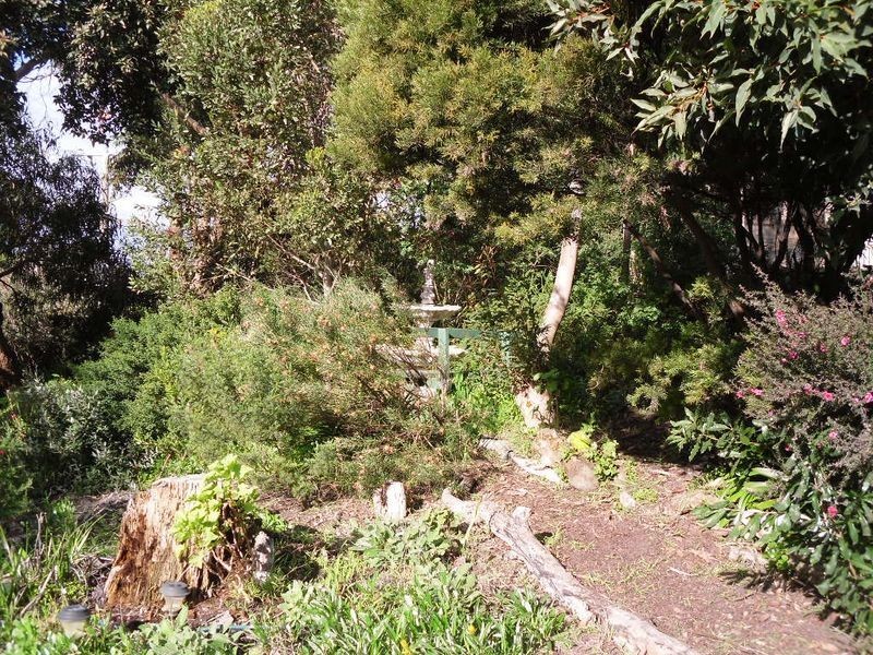 Cape Paterson VIC 3995