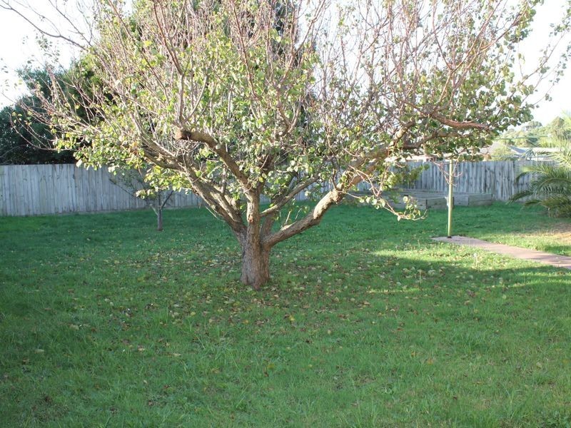 84 Toorak Road, Inverloch VIC 3996