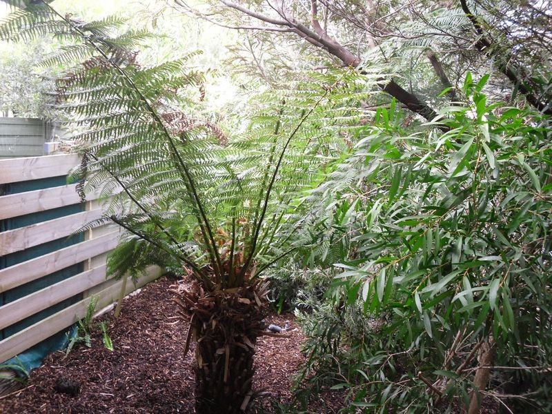 Inverloch VIC 3996