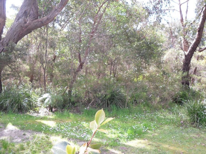 Inverloch VIC 3996