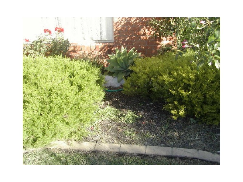 6 Heather Grove, Inverloch VIC 3996