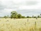 Lot 4 Axfords Road, Inverloch VIC 3996